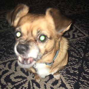 Meet your Posher, Cameron